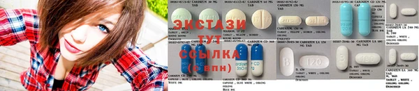 крисы Алзамай