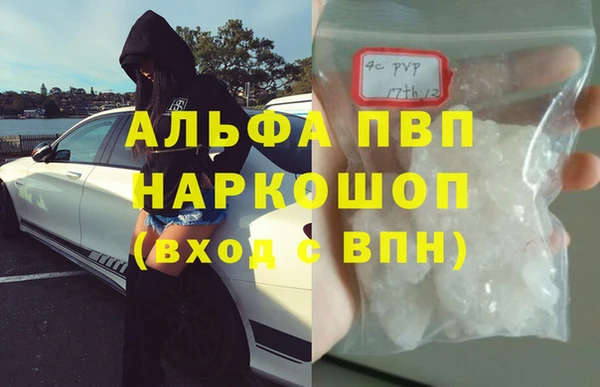 крисы Алзамай