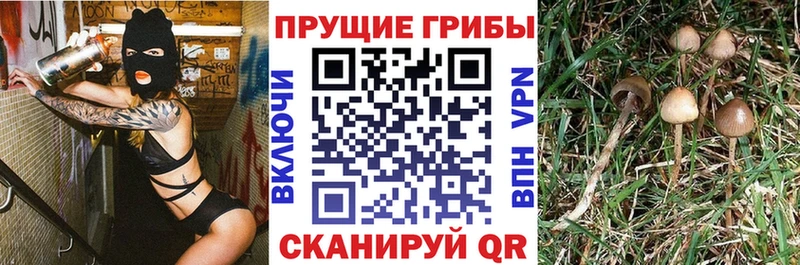 Галлюциногенные грибы ЛСД Кудрово