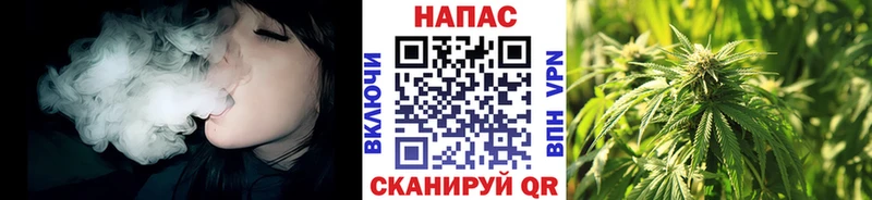 Шишки марихуана ГИДРОПОН Кудрово